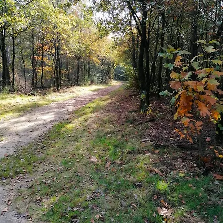 18 - Bungalowpark De Kern Апартаменты *