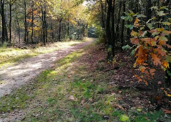 18 - Bungalowpark De Kern Lejlighed *