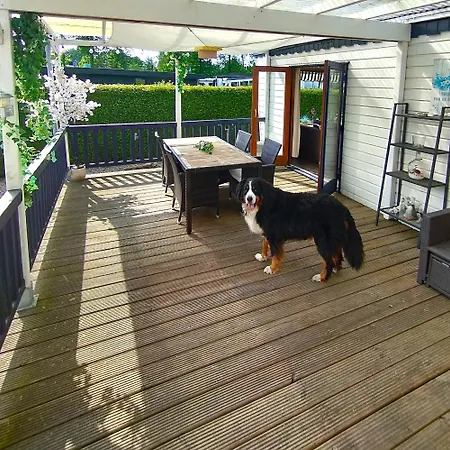 18 - Bungalowpark De Kern * 푸텐
